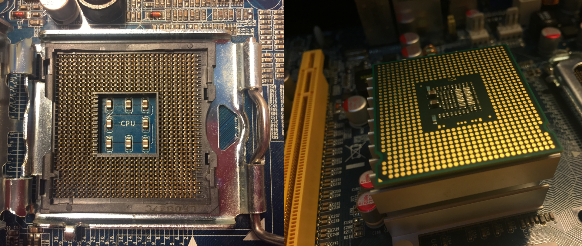 Сокет bga процессоры. Lga4094. Lga1700 vs lga775. CPU PGA vs LGA. LGA PGA BGA.